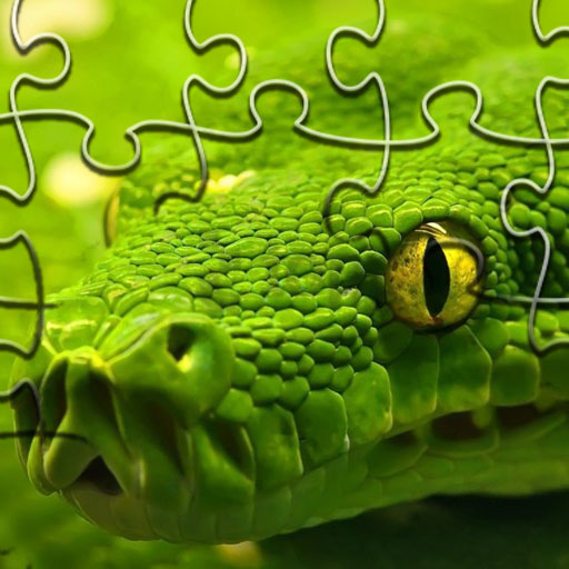 Snakes Jigsaw Puzzle